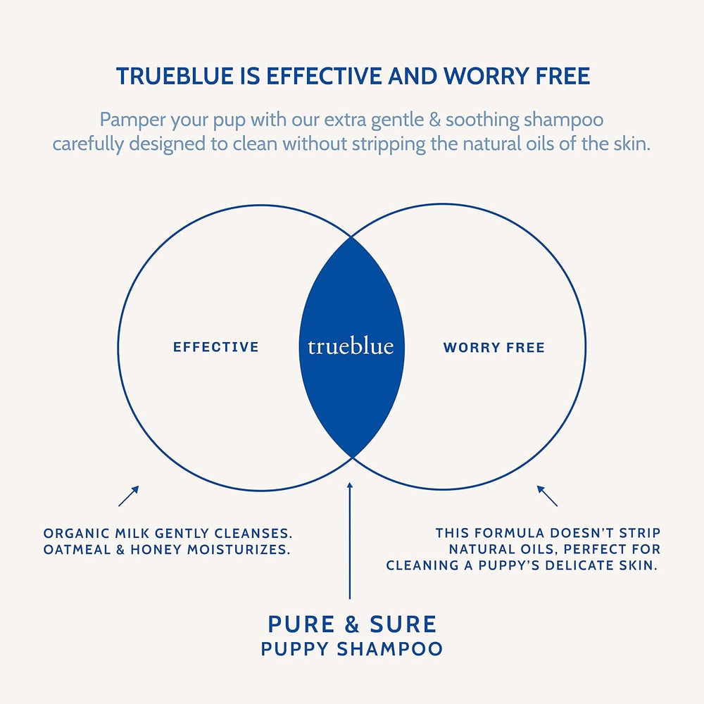Tearless suds from TrueBlue Puppy Shampoo ready for quick, smooth rinse.