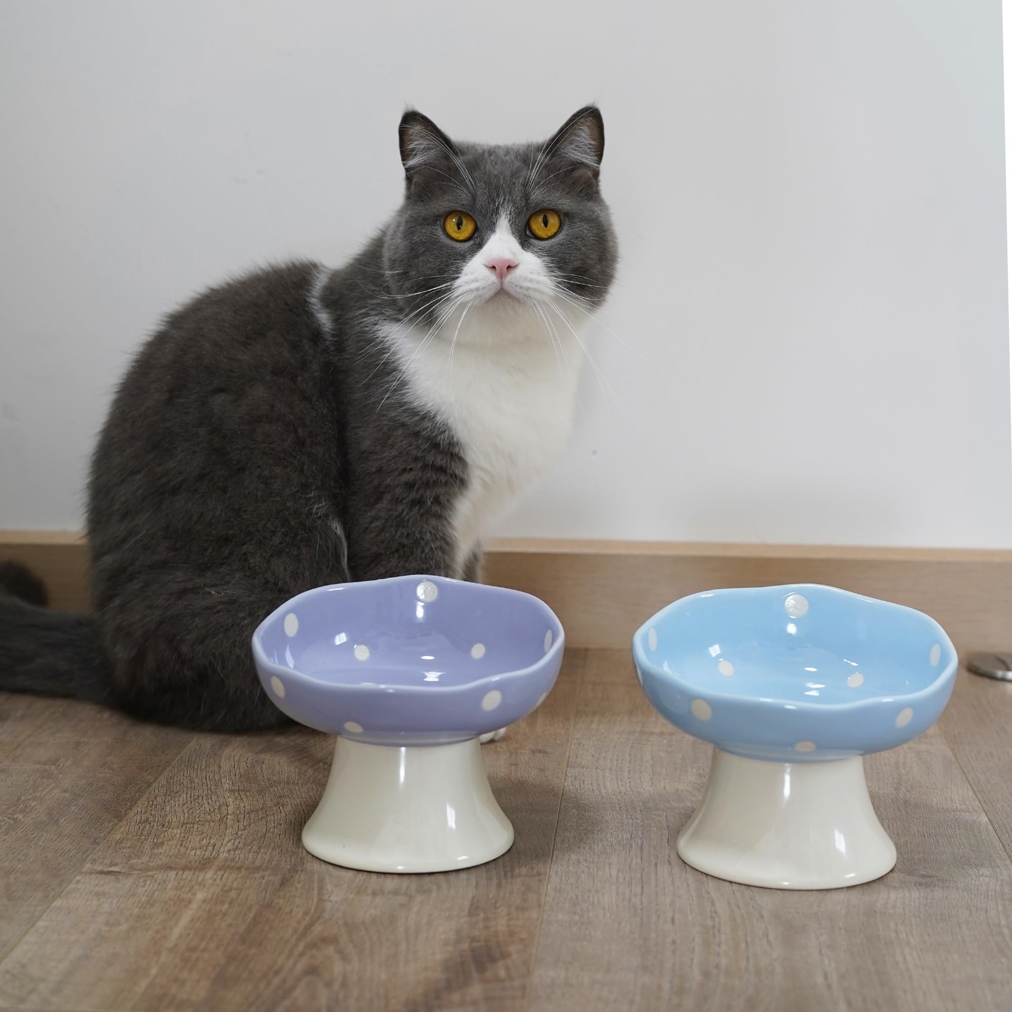 TRUNDISAN blue cat feeding bowl — elegant addition to home dining decor.