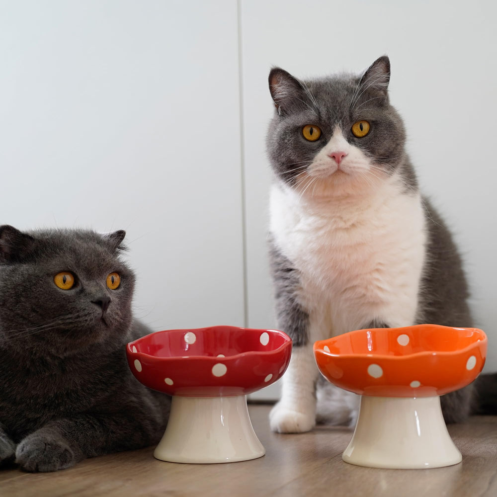 TRUNDISAN feeding bowl for cats and puppies – versatile for meals and water.