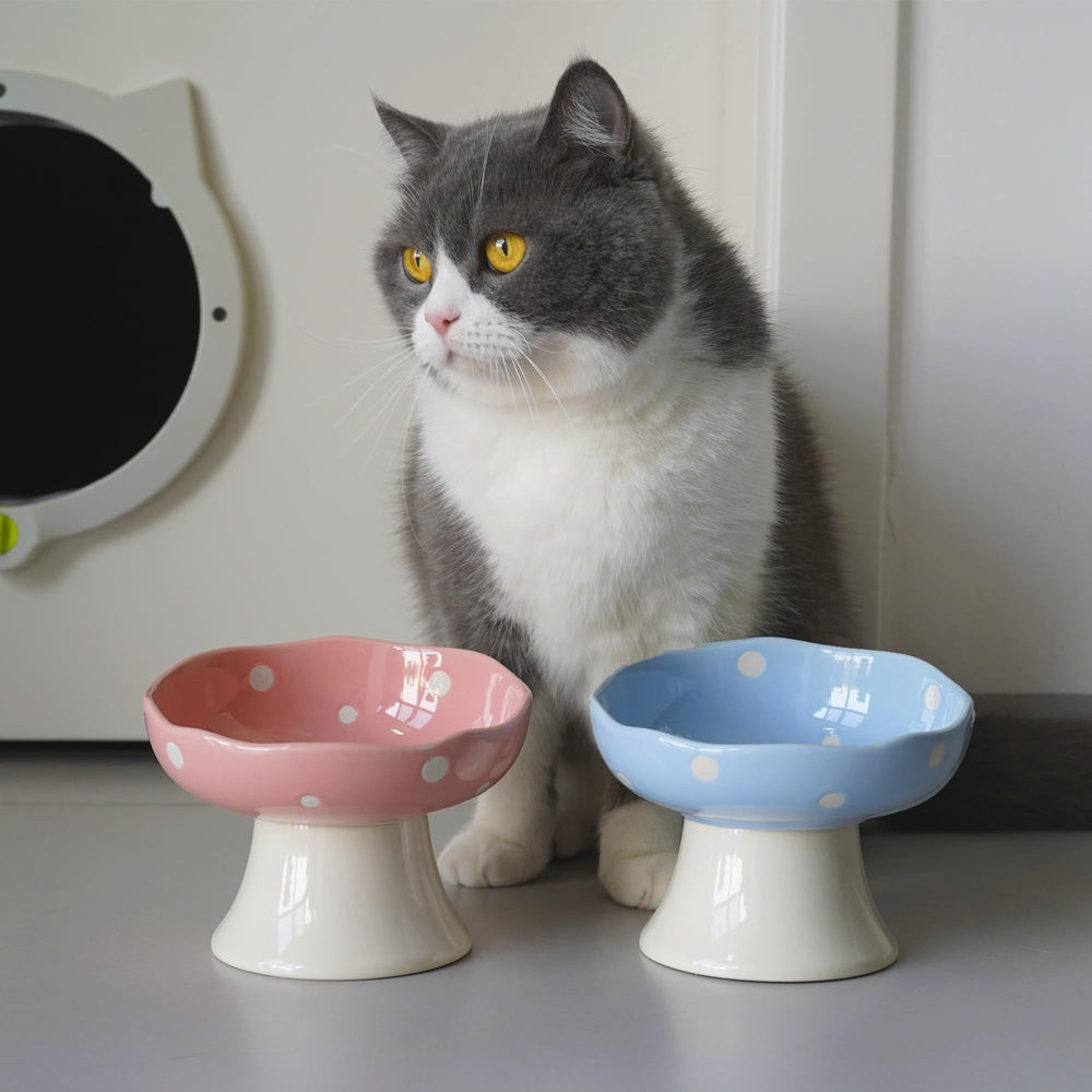 TRUNDISAN cat bowl for kittens puppies — versatile feeding for small pets.