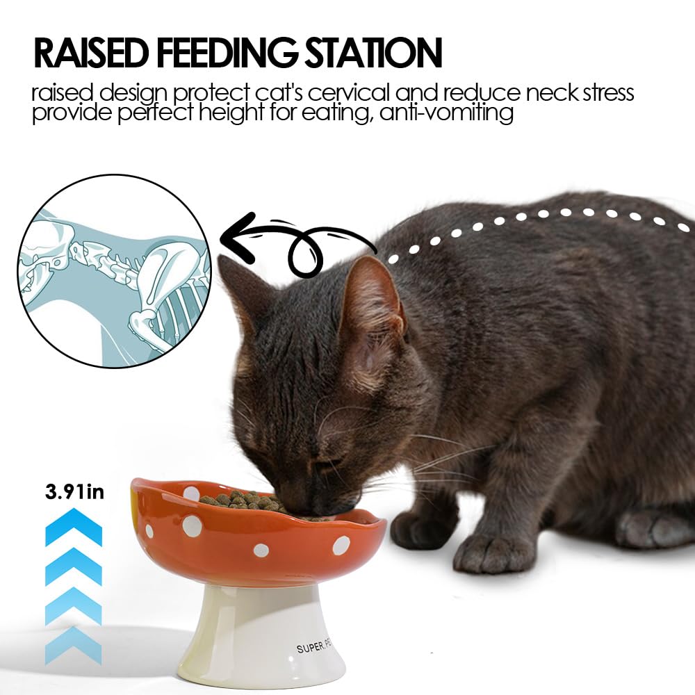TRUNDISAN dishwasher-safe cat bowl – easy cleaning with non-toxic ceramic.