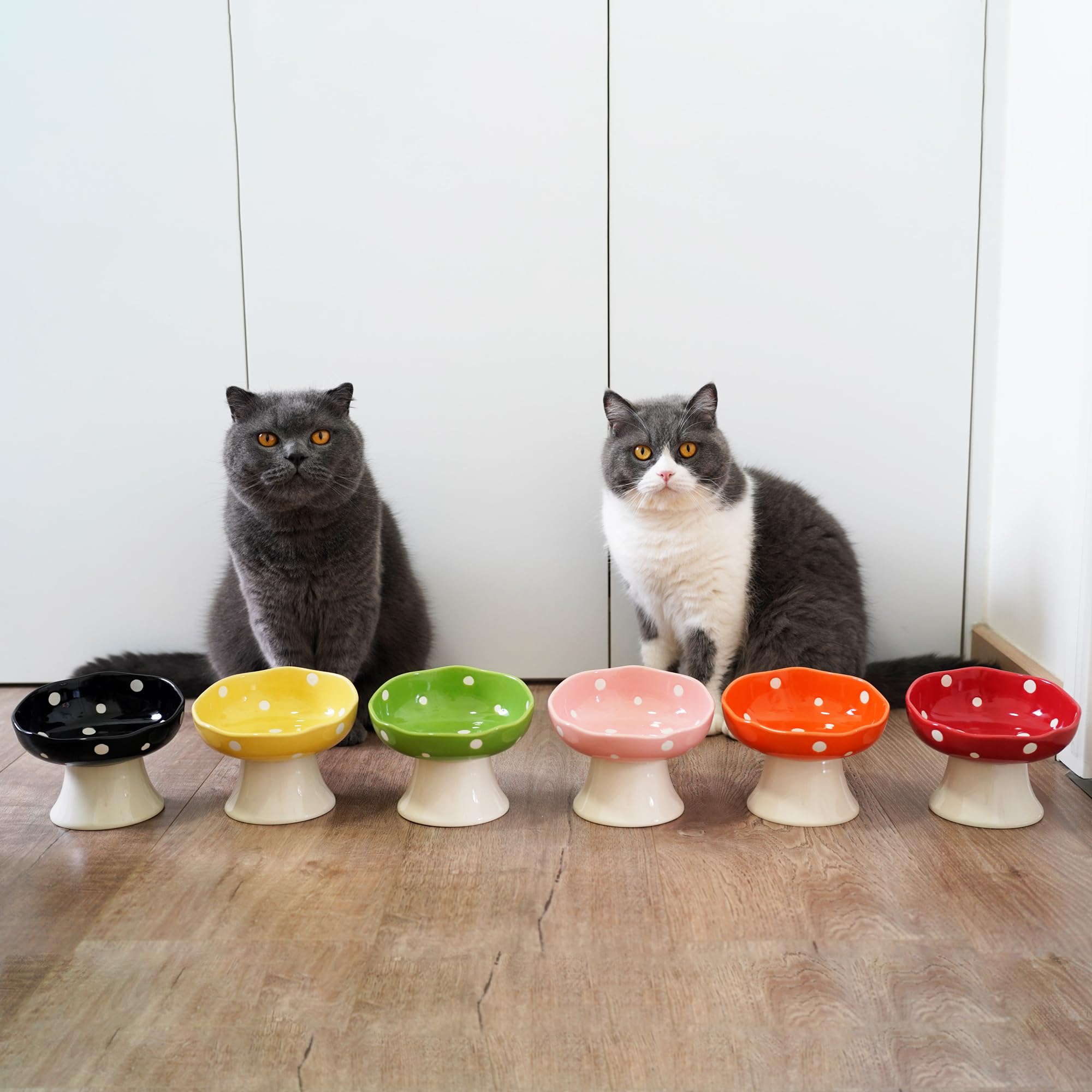 TRUNDISAN ceramic elevated bowl for kittens – gentle elevation for calm meals.
