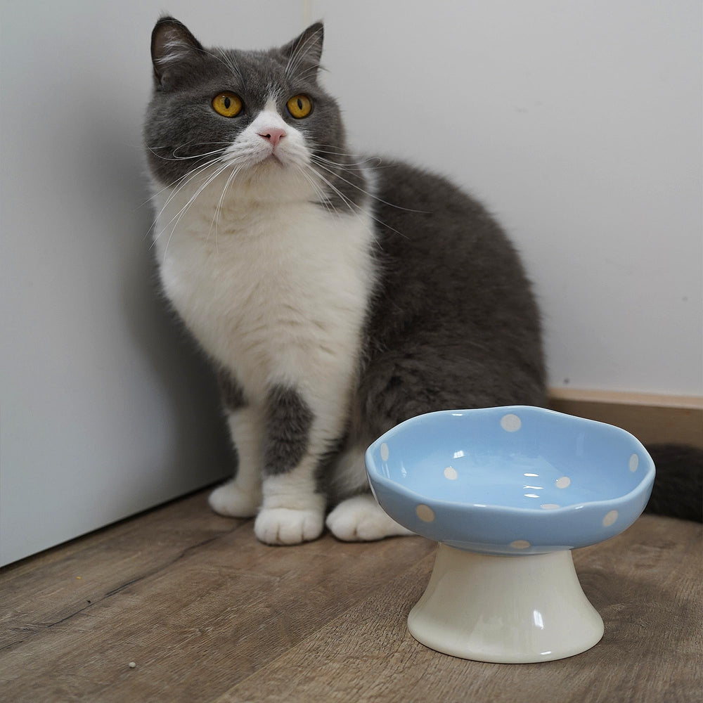 TRUNDISAN mushroom-shaped cat bowl design — playful styling during feeding.