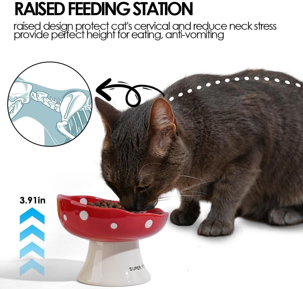 TRUNDISAN perfect fit for kittens, cats, and small dogs during daily dining.