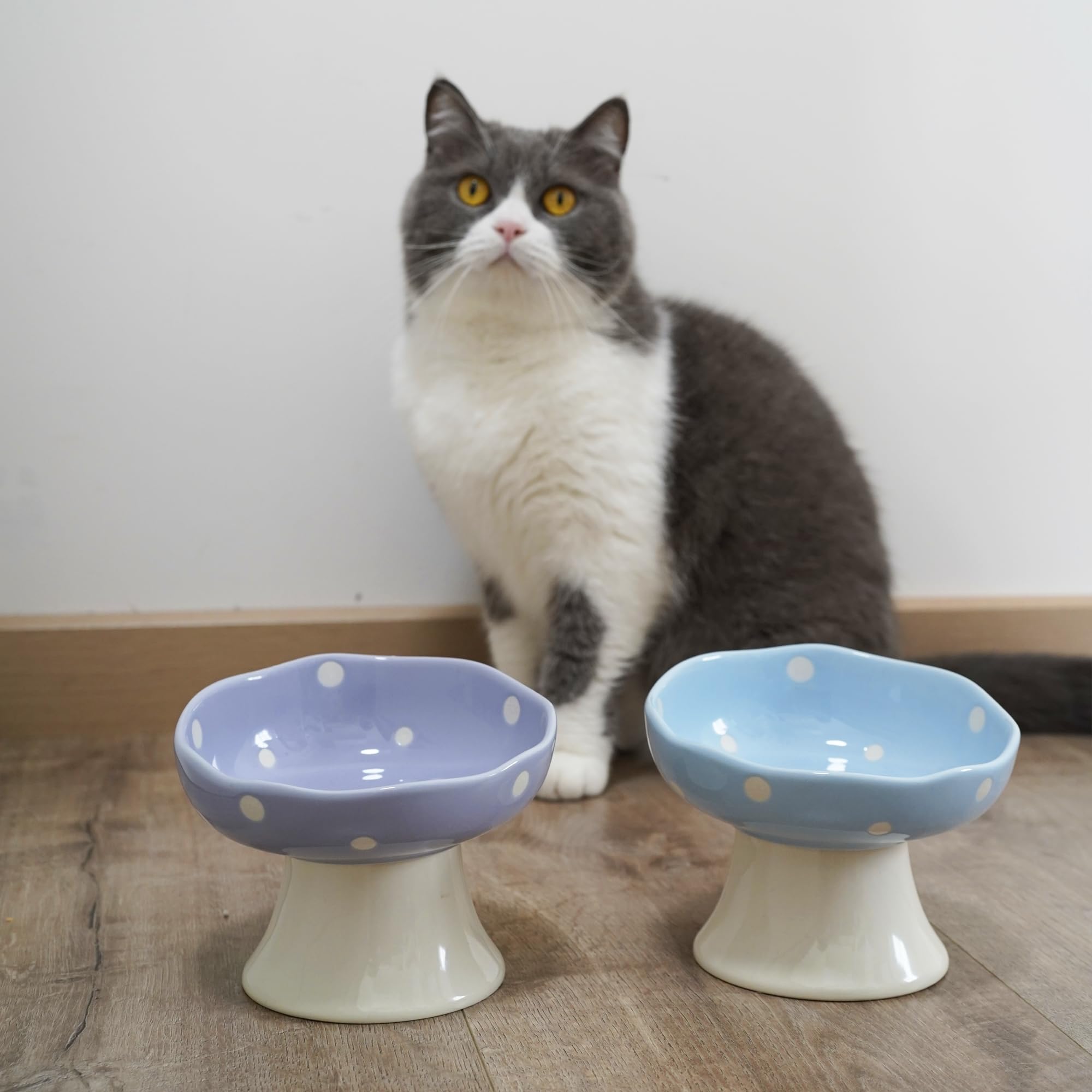 TRUNDISAN purple cat bowl complements home decor while serving food and water.
