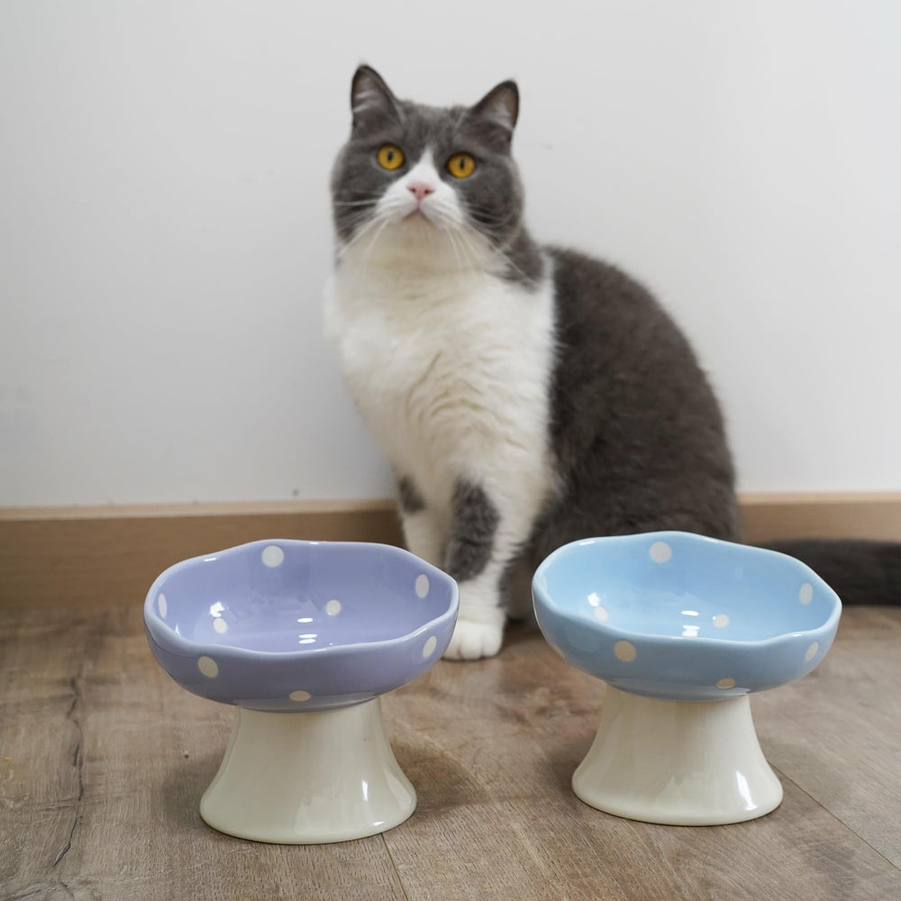 TRUNDISAN purple cat bowl complements home decor while serving food and water.