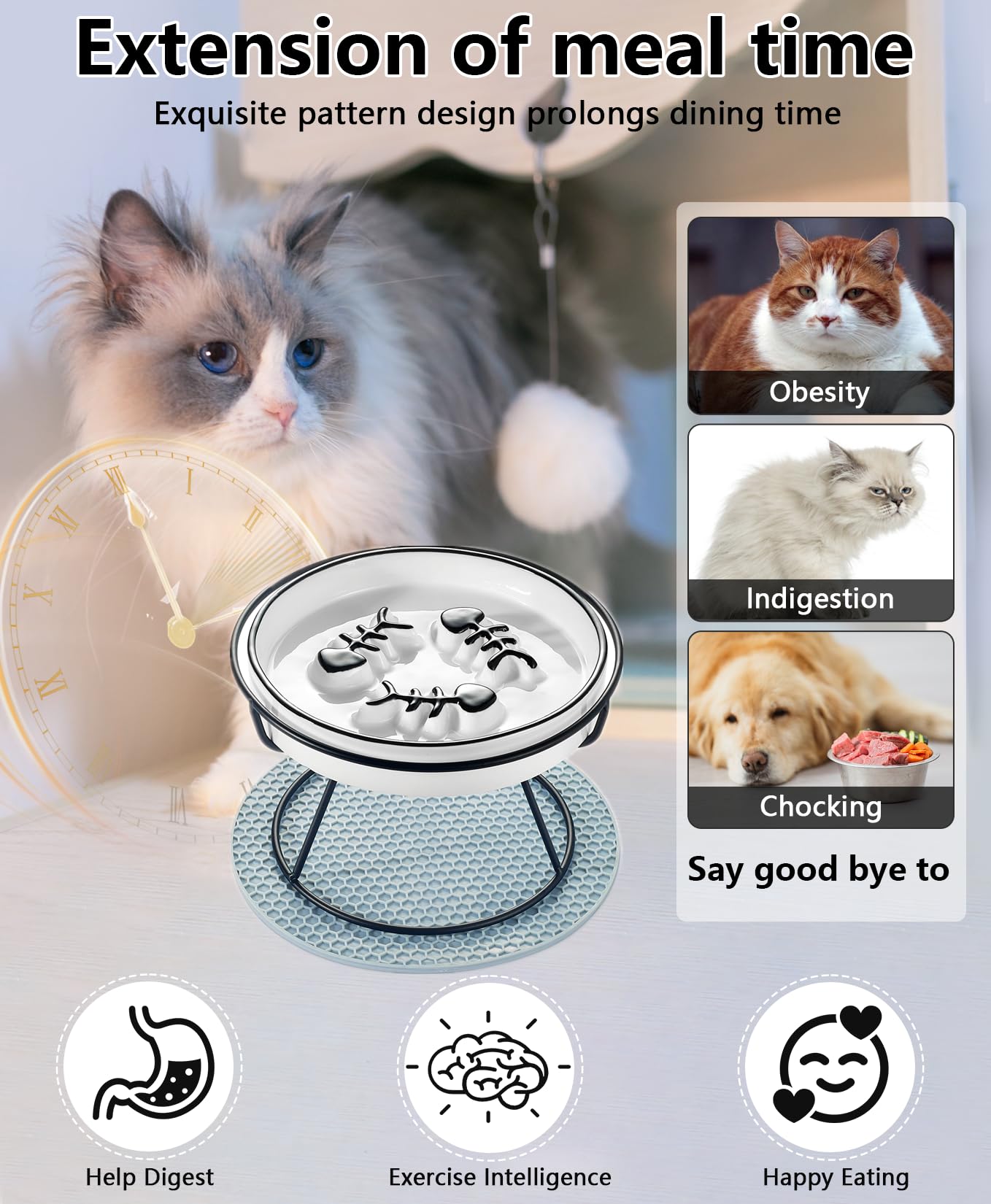 TRUNDISAN raised cat bowl with tilted feeding surface for comfort