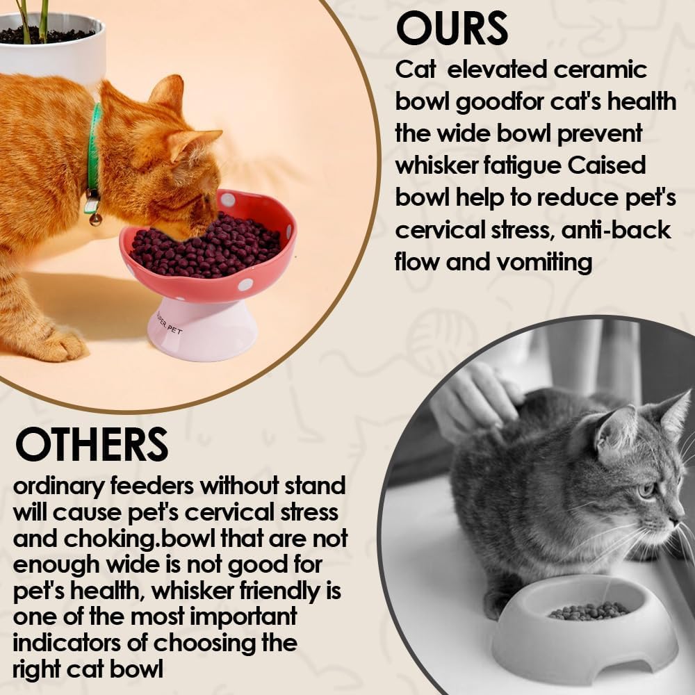 TRUNDISAN wide shallow cat food dish — whisker-friendly meal for comfortable eating.