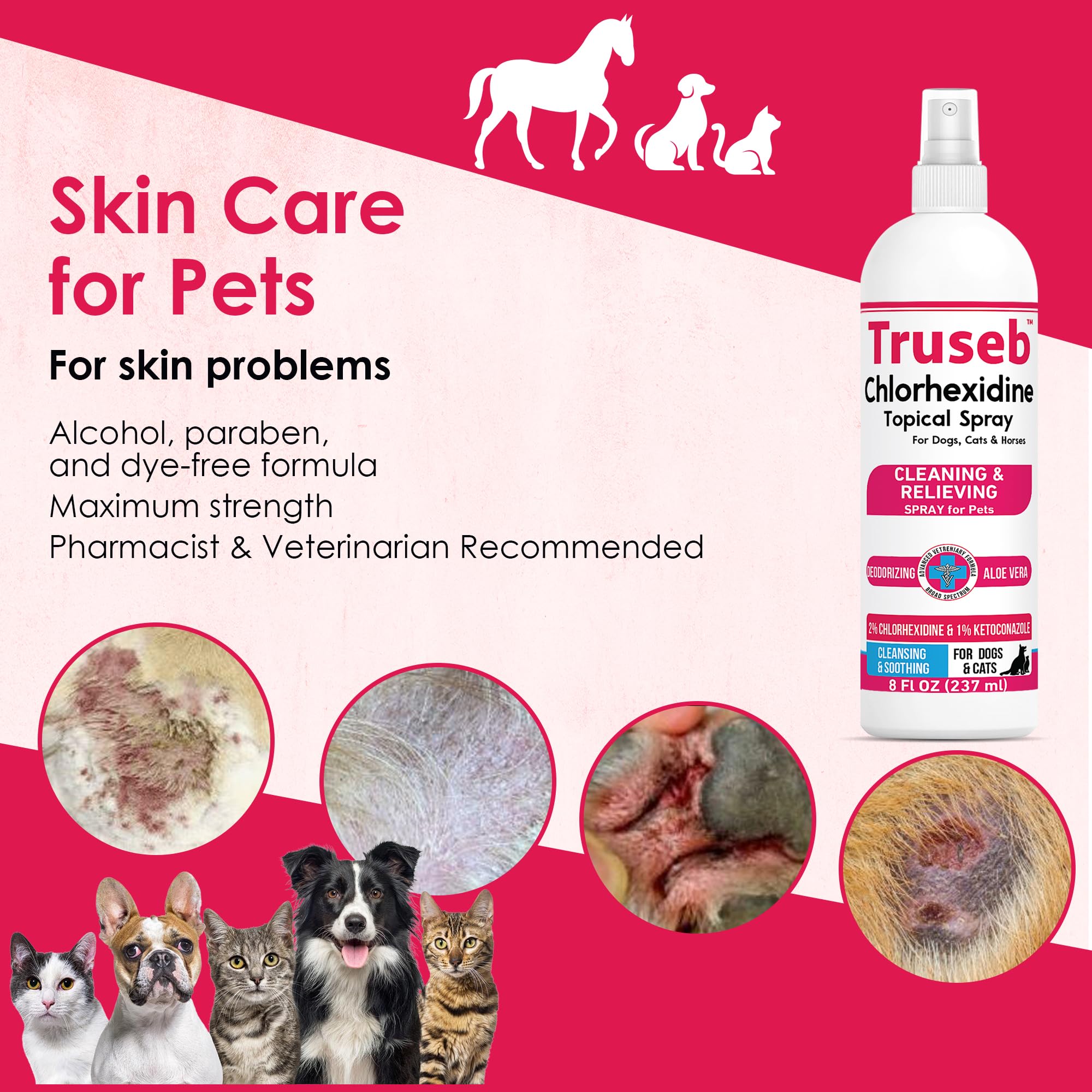 Truseb Aloe Vera ingredient spotlight for soothing pet skin.