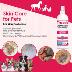 Truseb Aloe Vera ingredient spotlight for soothing pet skin.