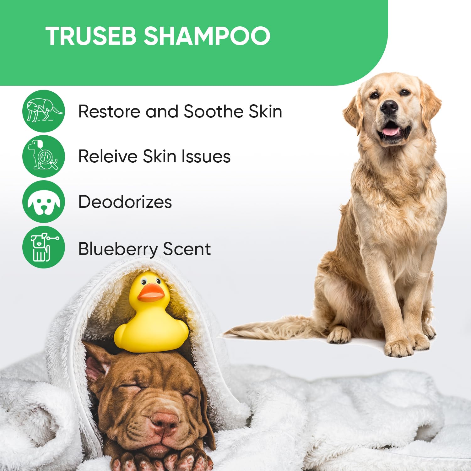 Truseb veterinary-strength cleansing supports professional grooming sessions.