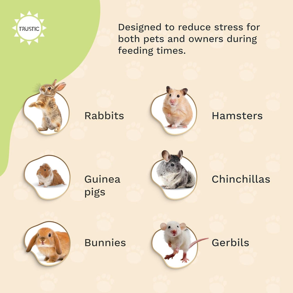 Safe design with no sharp edges supports safe daily use for pets.