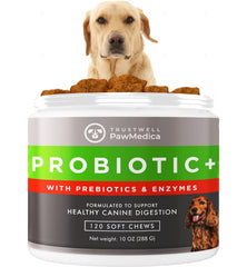 TrustWELL PawMedica dog probiotics chews bottle for convenient daily digestive support