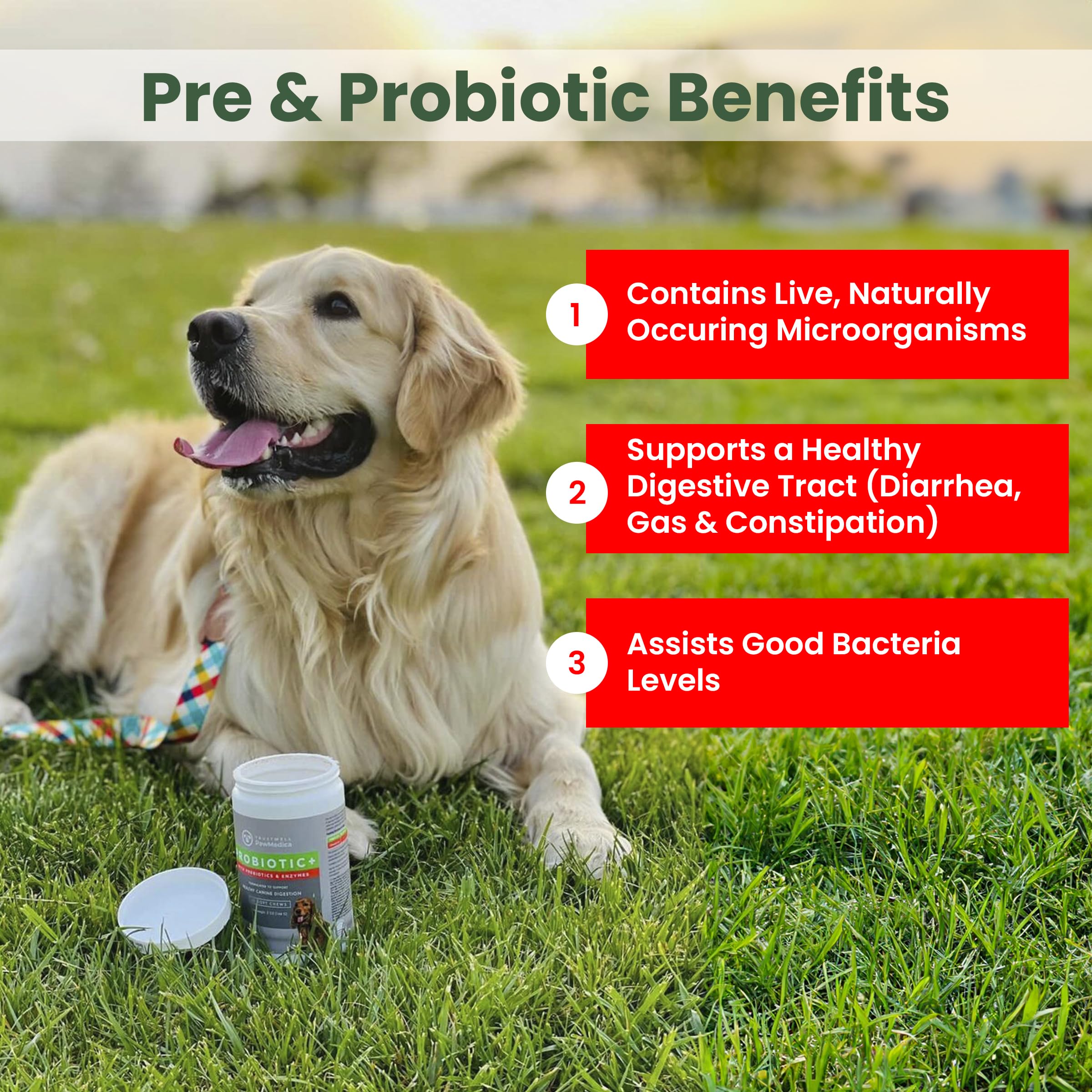 TrustWELL PawMedica dog probiotics chews closeup showing tasty texture and chewable form