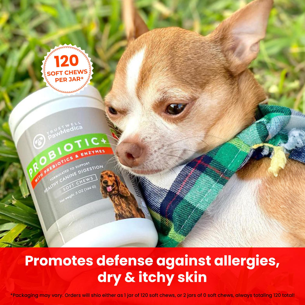 TrustWELL PawMedica dog probiotics chews serving image for simple daily dosing