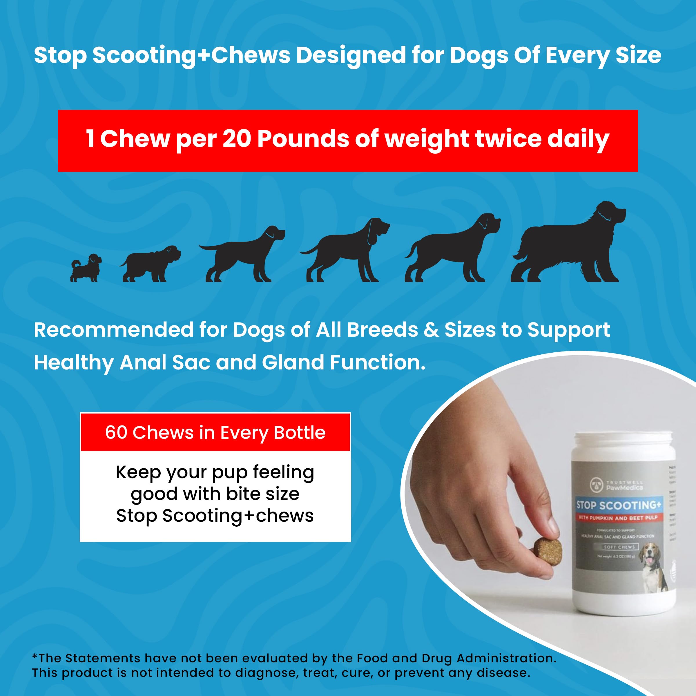 Dog happily accepts PawMedica chews during snack time