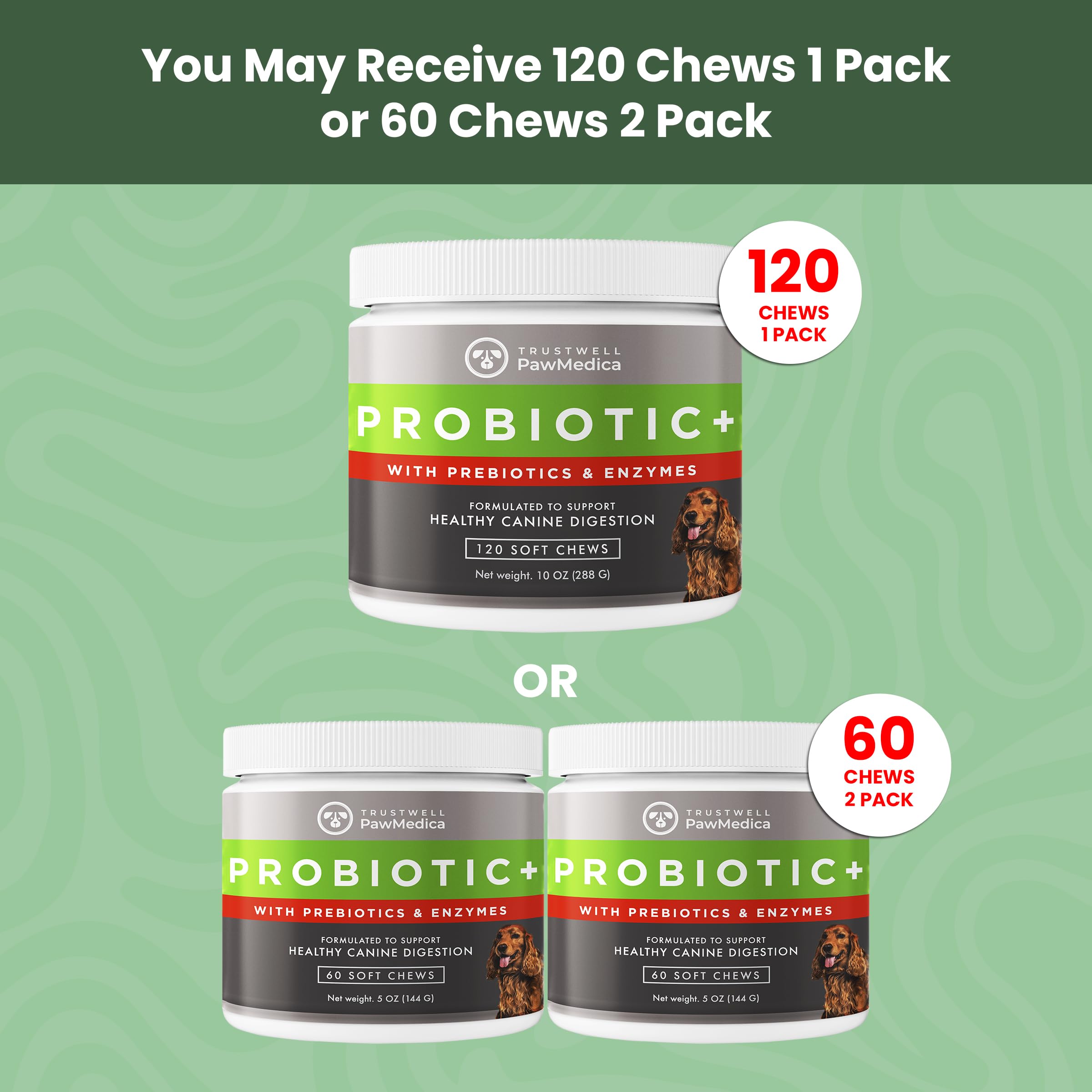TrustWELL PawMedica ingredients closeup featuring prebiotics and probiotics