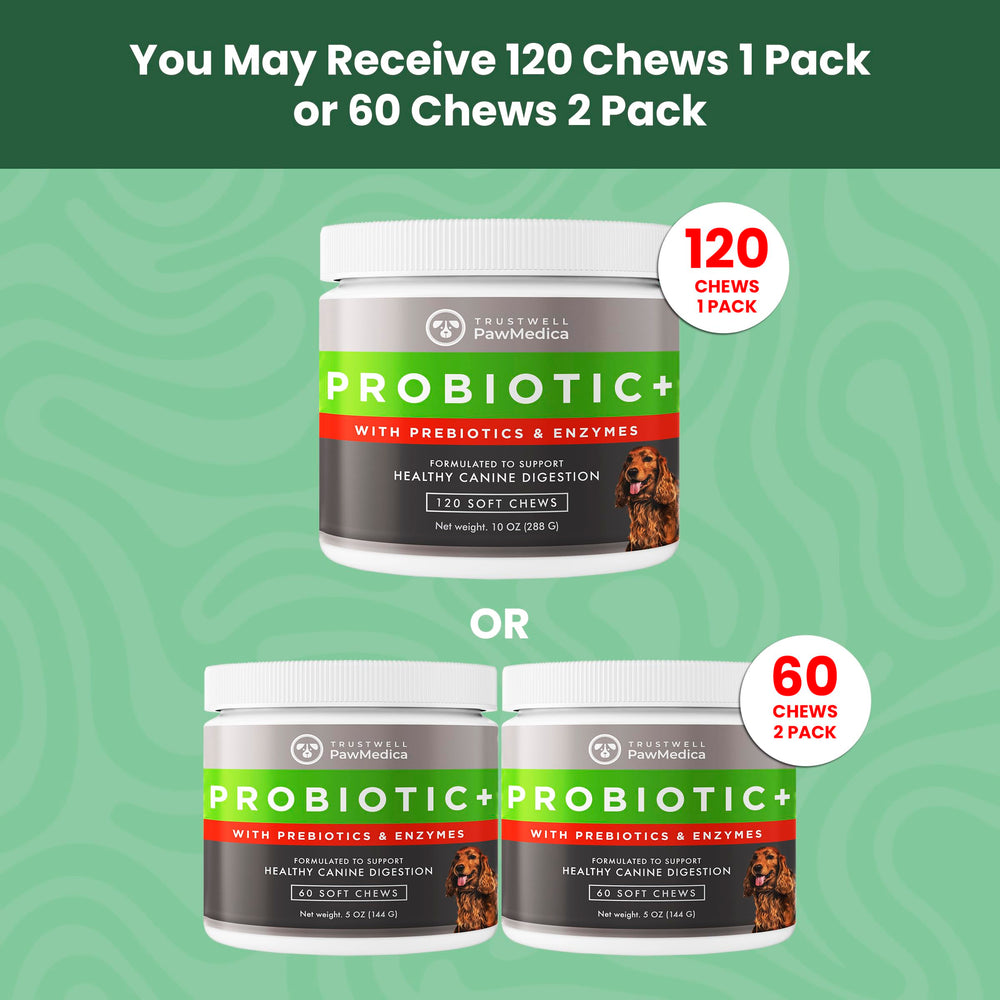 TrustWELL PawMedica ingredients closeup featuring prebiotics and probiotics