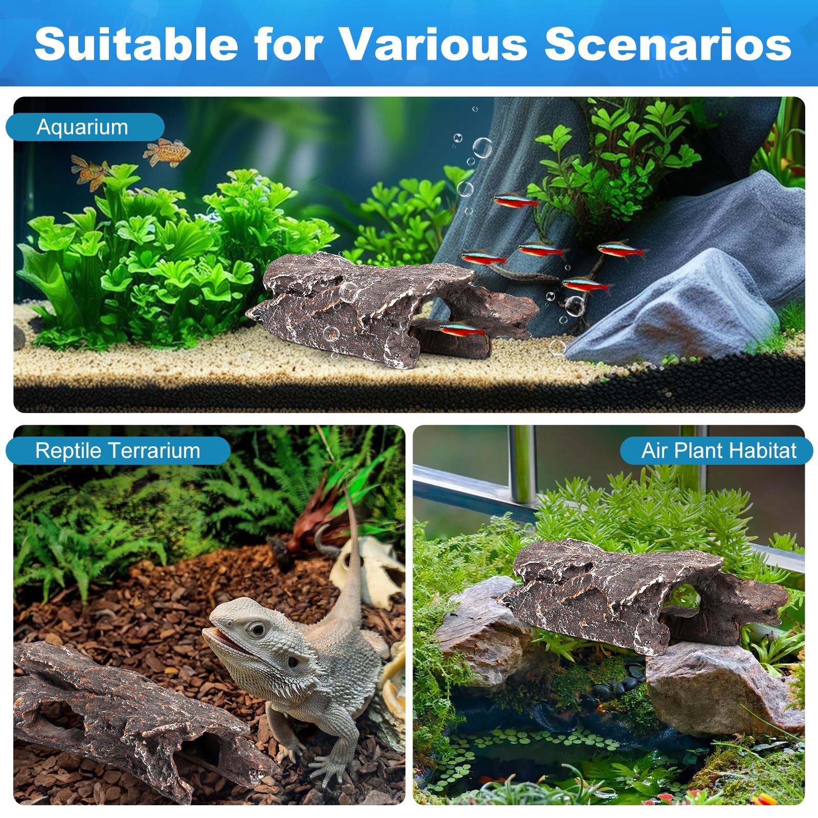 TRUVIC betta hideout tree trunk for easy viewing and rest.