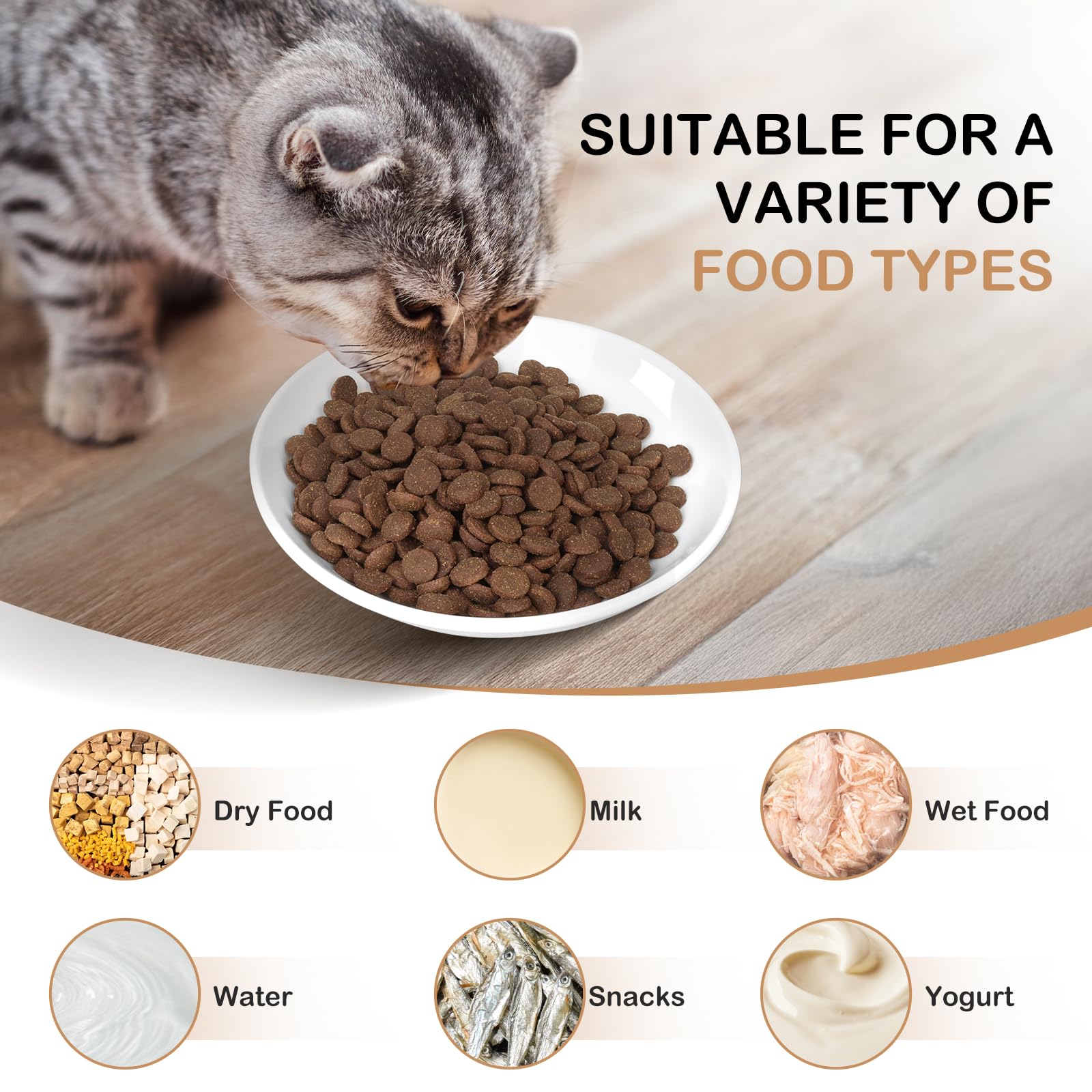 TRUVIC cat-mealtime dishes in vibrant colors