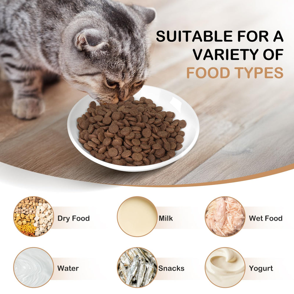 TRUVIC cat-mealtime dishes in vibrant colors