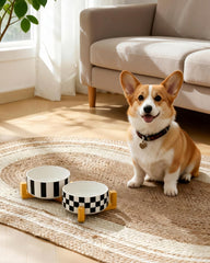TRUVIC ceramic dog bowl with striped pattern enhances modern home dining.