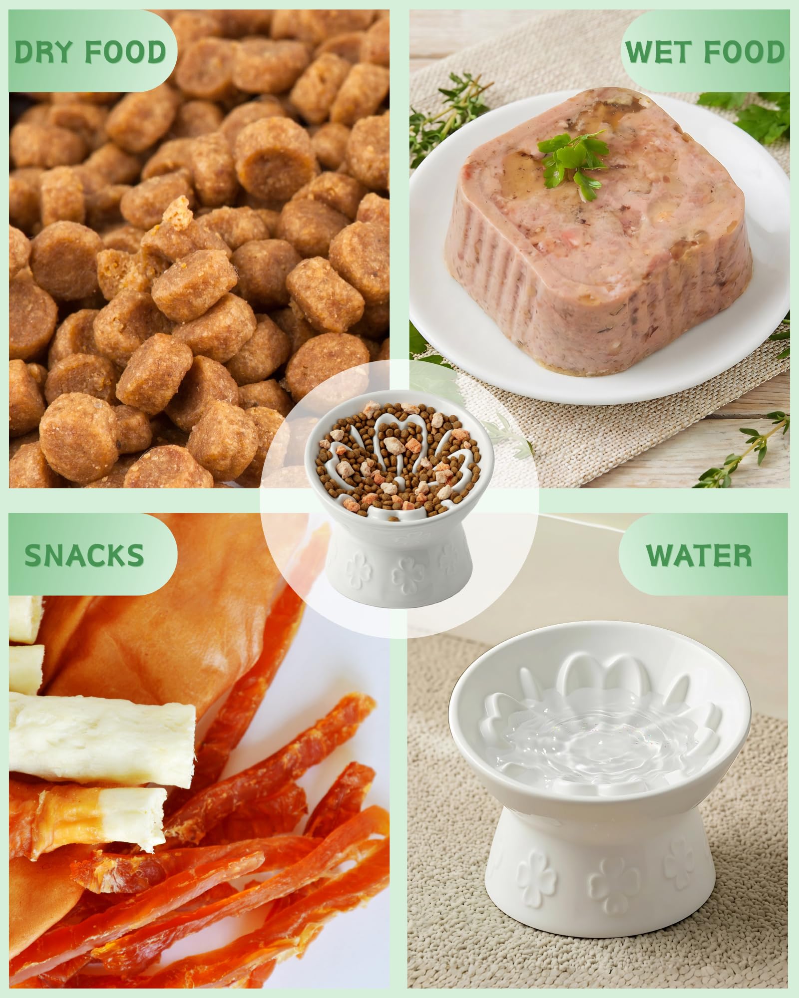 TRUVIC anti vomiting design supports calmer meals for cats and small dogs