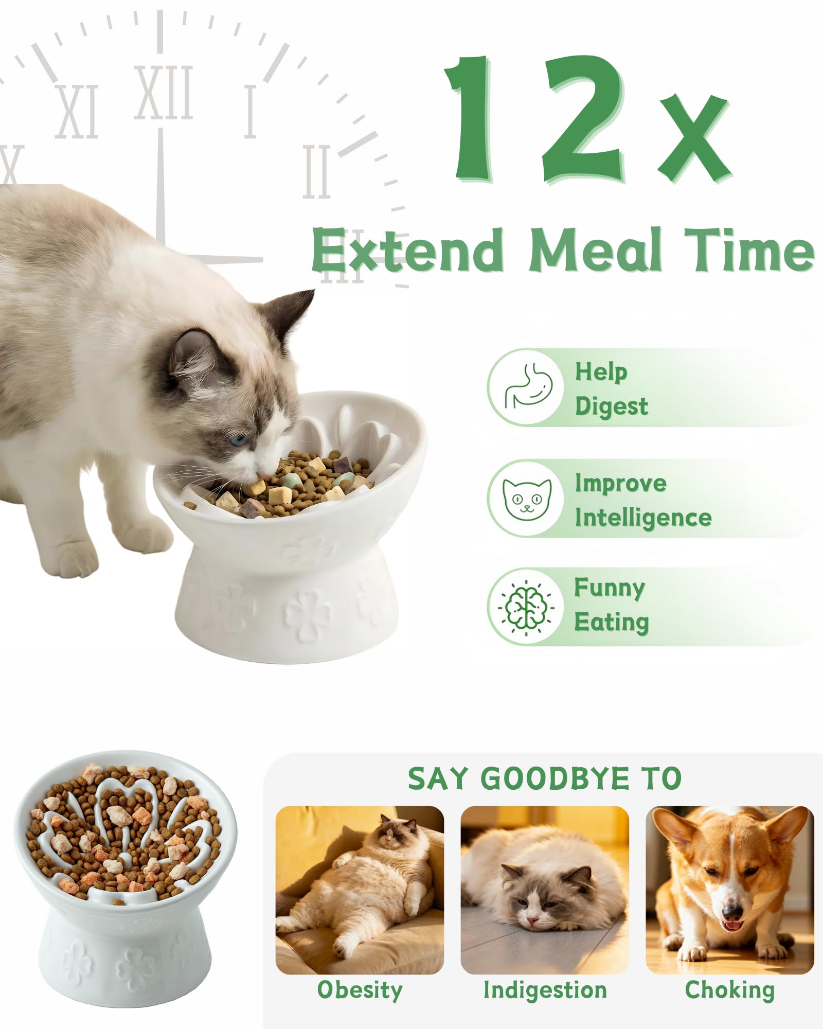 TRUVIC elevated base keeps bowls stable during active mealtimes for cats