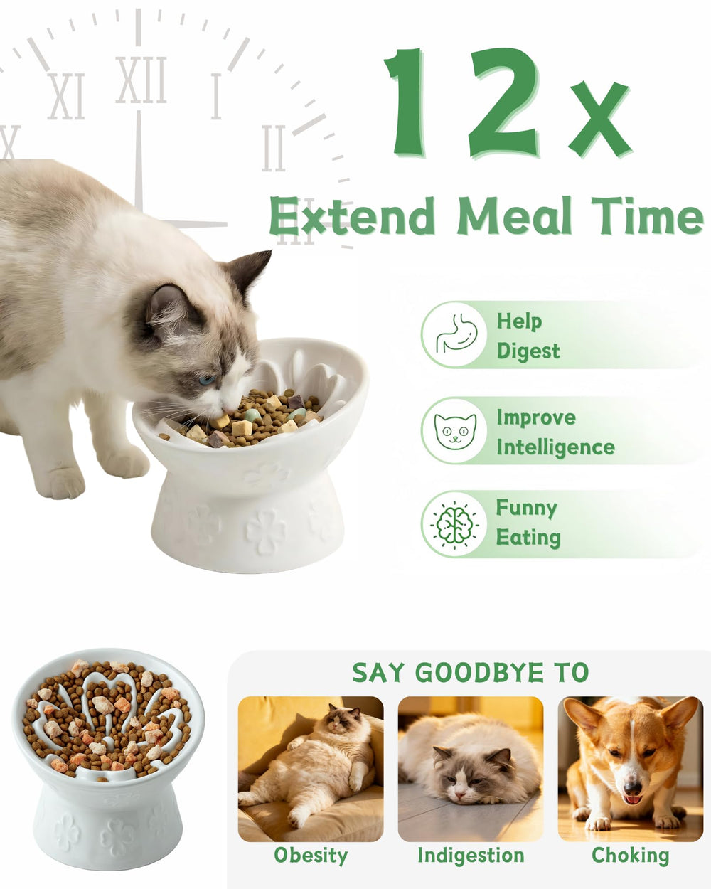 TRUVIC elevated base keeps bowls stable during active mealtimes for cats