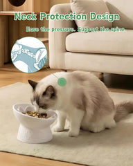 TRUVIC slow feeder bowl tilted for neck friendly dining and reduced strain