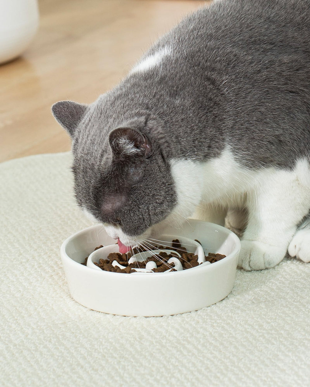 TRUVIC small-breed ceramic slow feeder cat bowl with 0.6 cup capacity