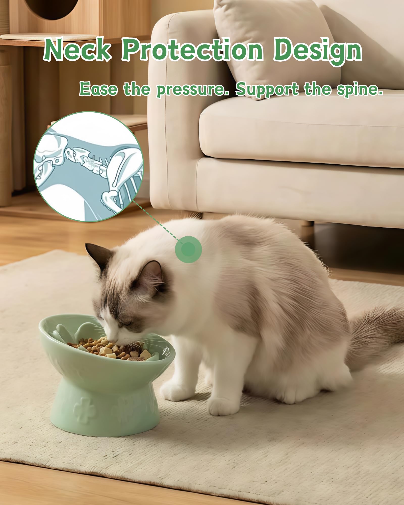 TRUVIC elevated cat bowl neck protection promotes natural alignment during meals.