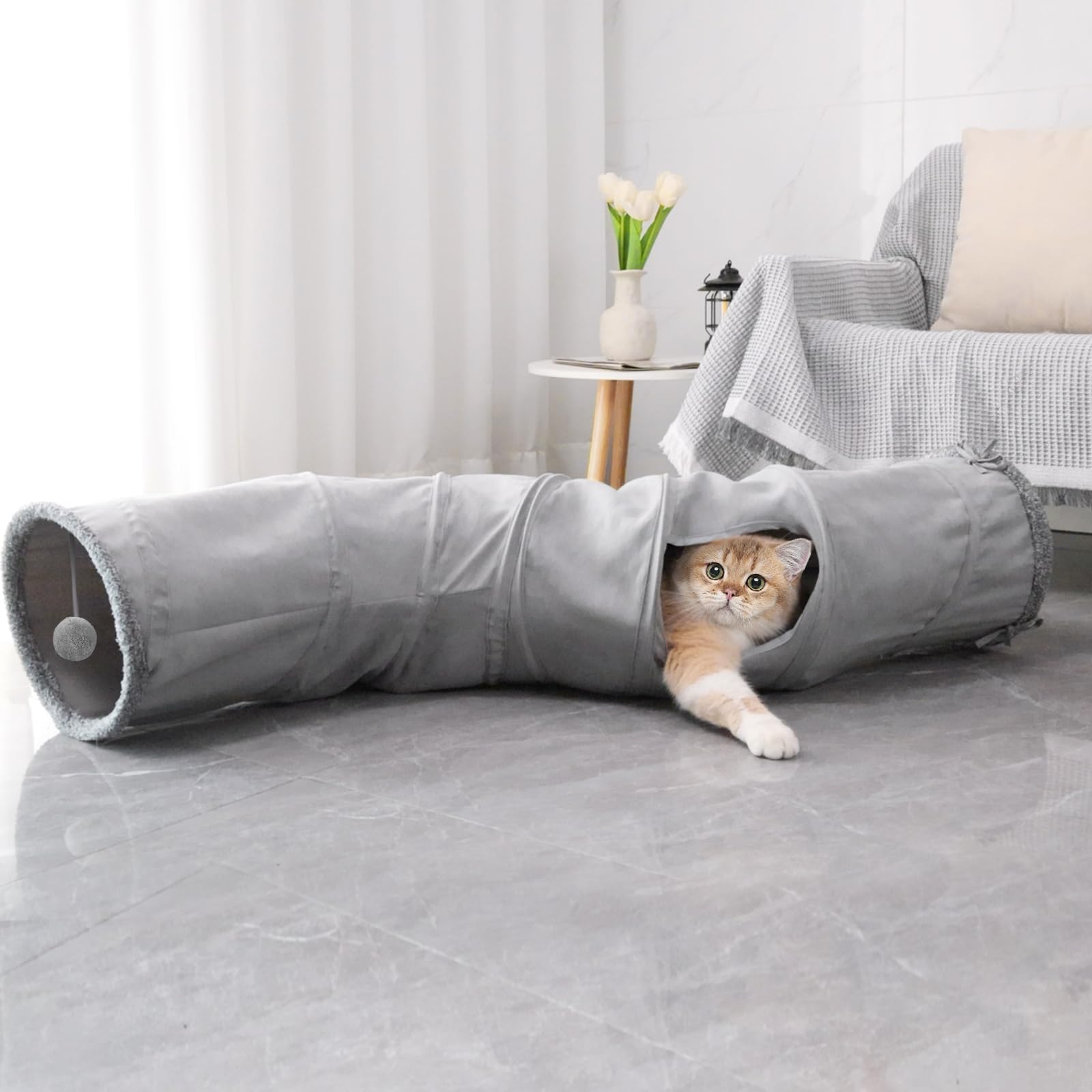 TSEB4TEP cat track-ball entrance view invites social play and interaction.