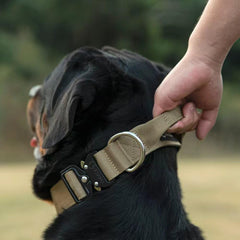 TSPRO heavy-duty buckle close-up showing quick-release durability on the collar.