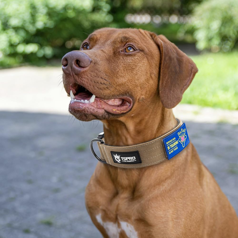 TSPRO quality assurance and after-sales support for lasting collar performance.