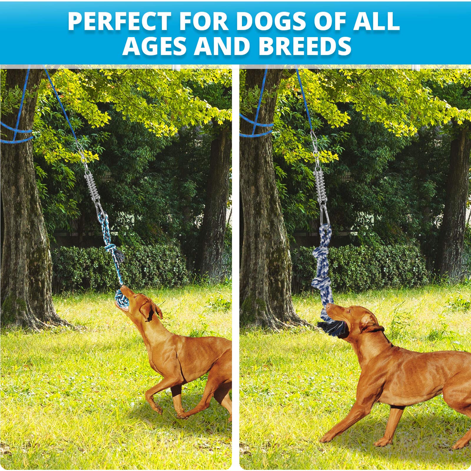 TT TRSMIMA outdoor exercise yard setup boosts backyard fitness and engagement.
