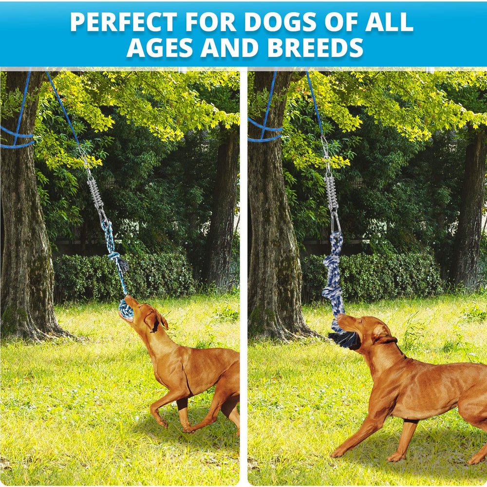 TT TRSMIMA outdoor exercise yard setup boosts backyard fitness and engagement.