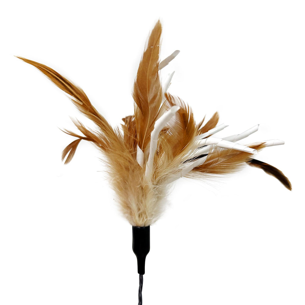 TTcat ideal gift for cat lovers seeking interactive fun.