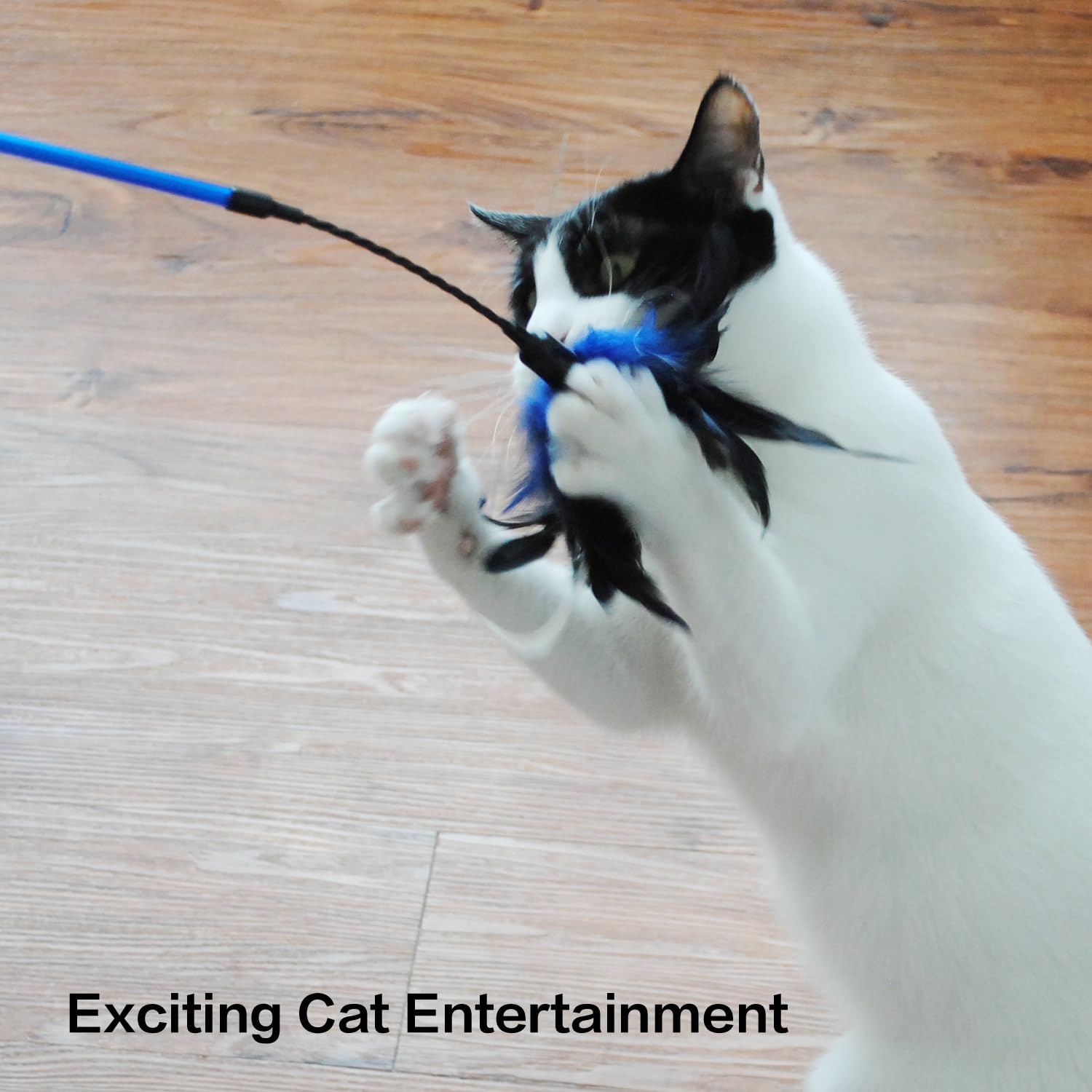 TTcat triple-pack delivers varied colors for different moods.