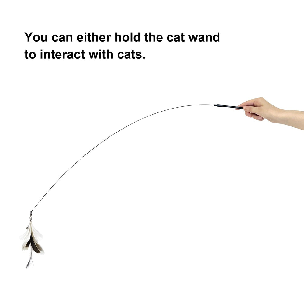 TTcat indoor play window interaction demonstrates window-side chasing fun