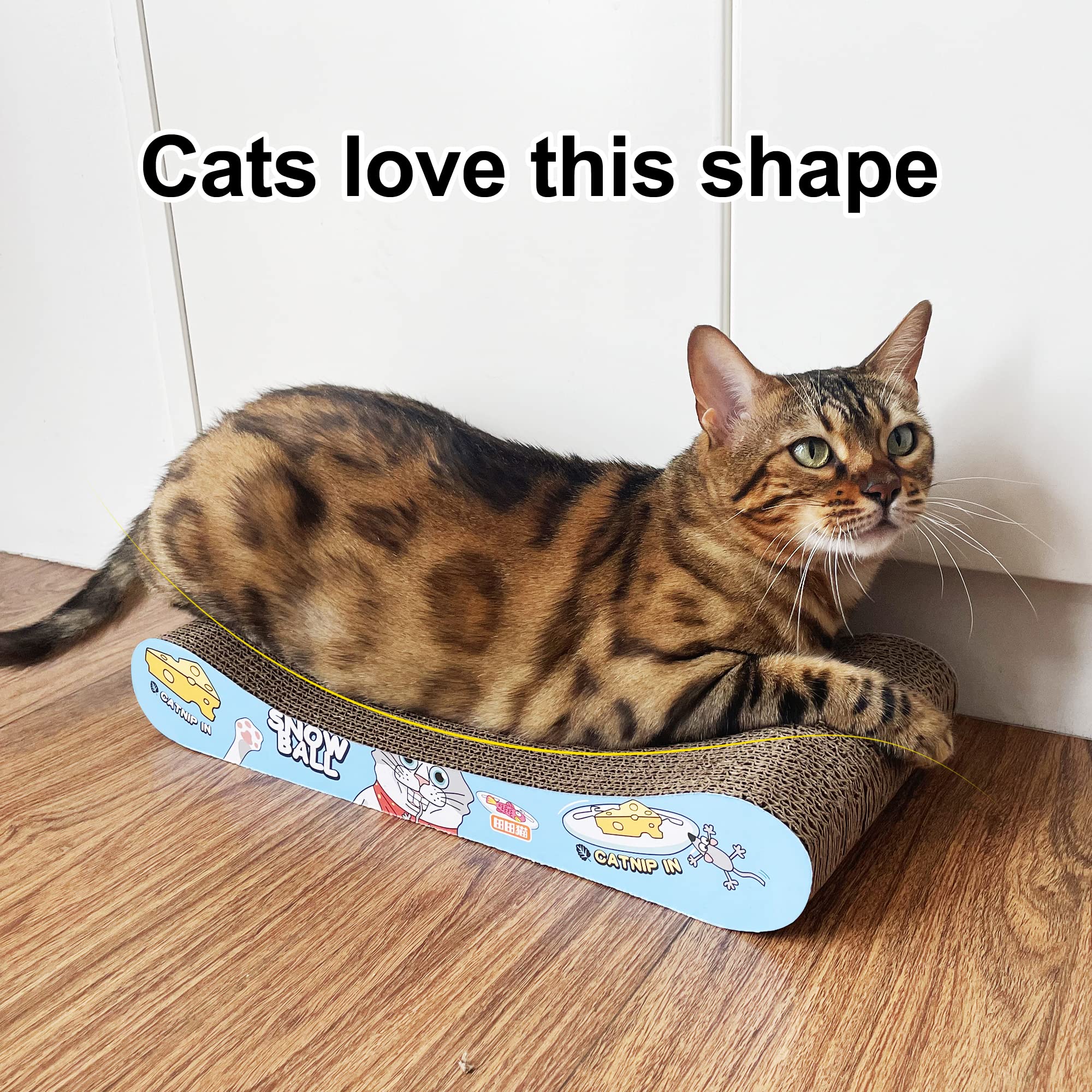 TTcat two-pack packaging display for convenient purchase