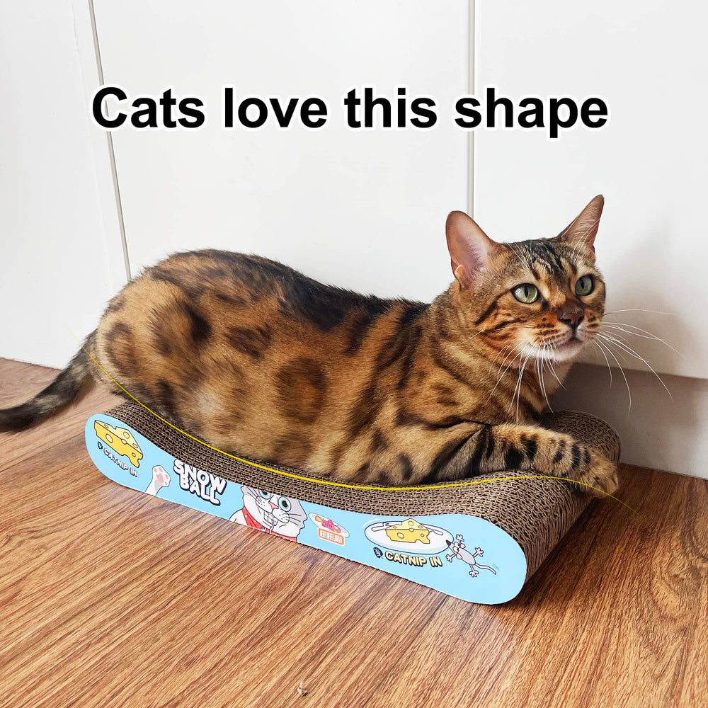 TTcat two-pack packaging display for convenient purchase