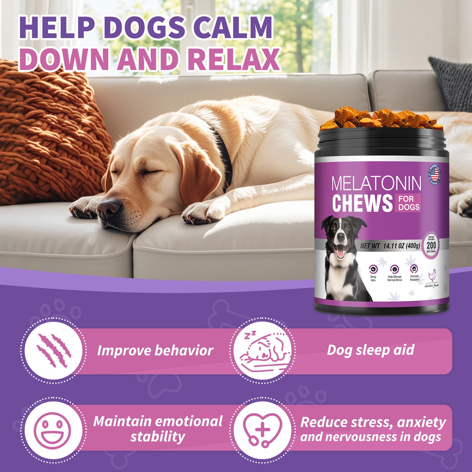 TTIXRL Calming Melatonin Dog Chews on a relaxed dog ready for peaceful sleep.