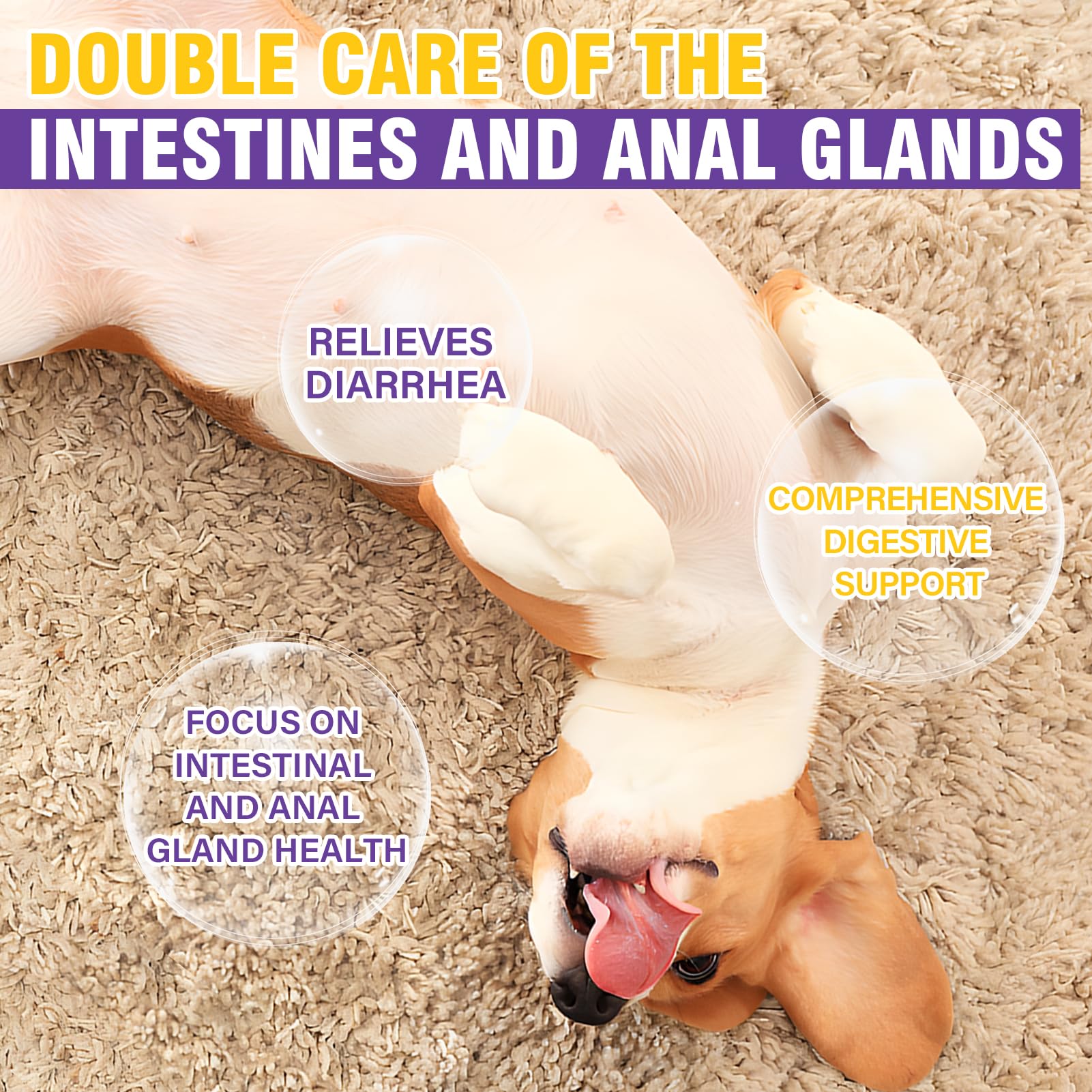 TTIXRL dog anal gland soft chews chicken flavor for rewards