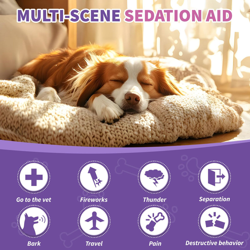 TTIXRL Dog Chews pictured during a thunderstorm for calming relief.