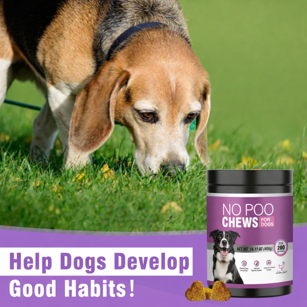 TTIXRL long-term use chews image implies suitability for dogs of all sizes.