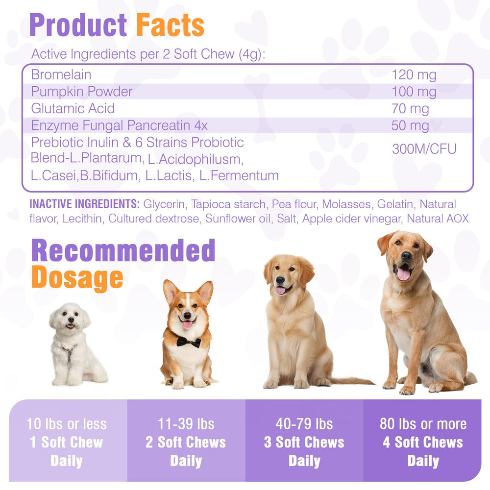 TTIXRL No Poo Chews in a dog bowl for easy daily dosing.