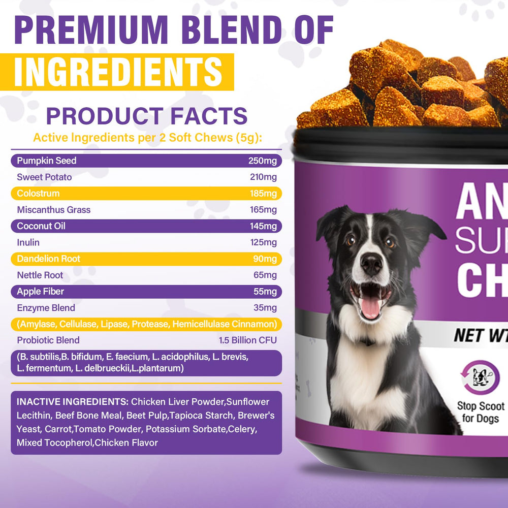 TTIXRL probiotic and enzyme blend aids nutrient absorption in dogs