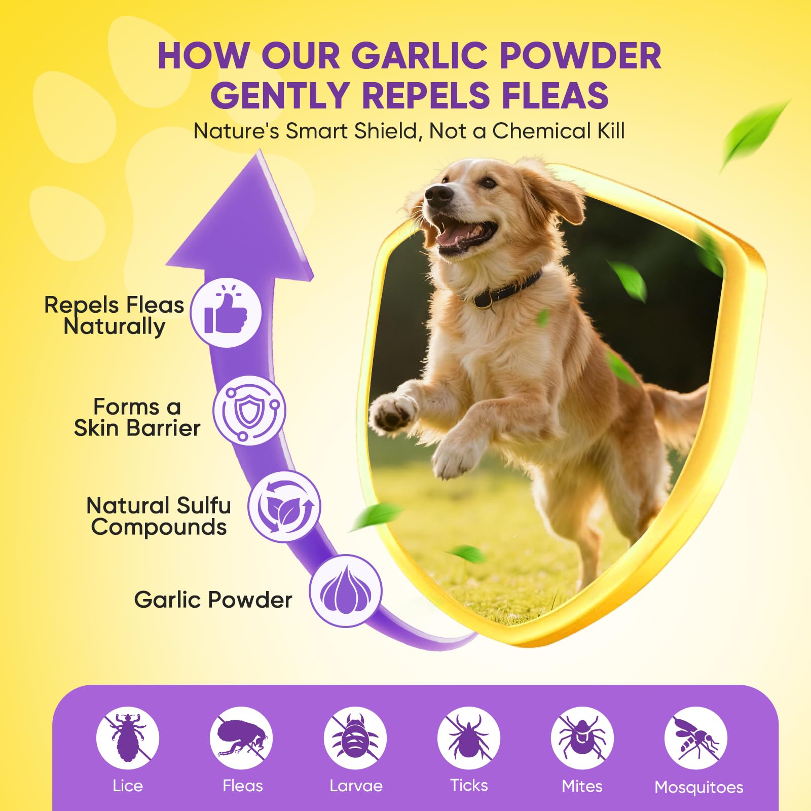 TTLXBL chicken-flavored chews highlighted for easy dosing and palatability
