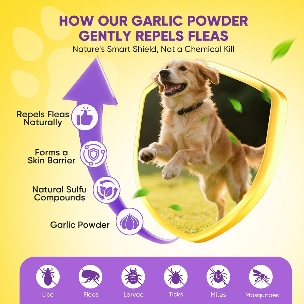 TTLXBL chicken-flavor dog chew, easy to administer and dog-friendly.